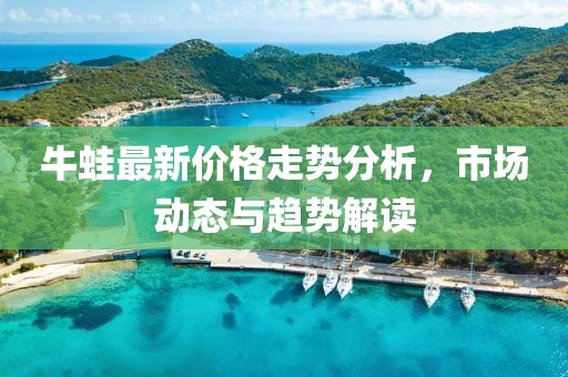 牛蛙最新价格走势分析，市场动态与趋势解读