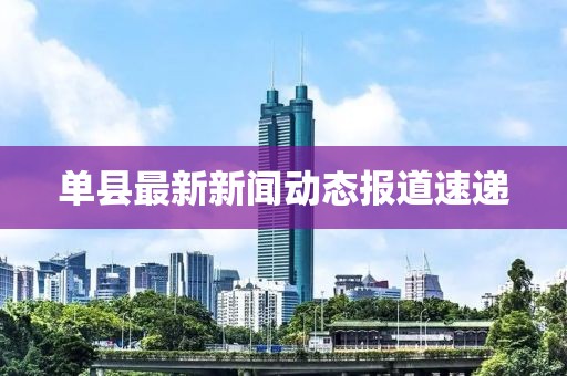 单县最新新闻动态报道速递