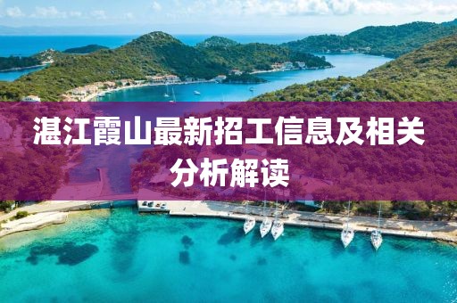 湛江霞山最新招工信息及相关分析解读