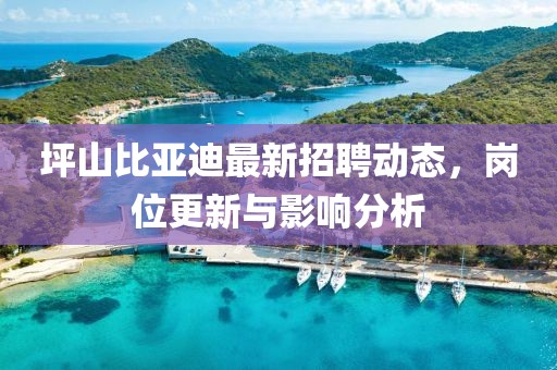 坪山比亚迪最新招聘动态，岗位更新与影响分析