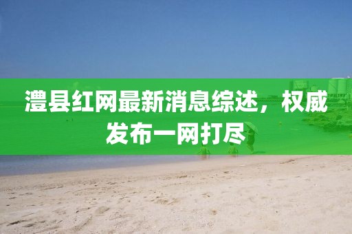 澧县红网最新消息综述，权威发布一网打尽