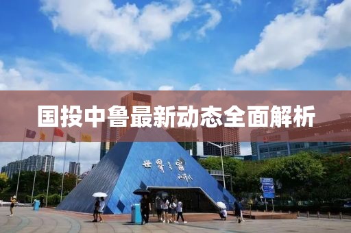 国投中鲁最新动态全面解析