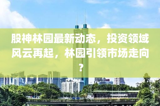 股神林园最新动态，投资领域风云再起，林园引领市场走向？