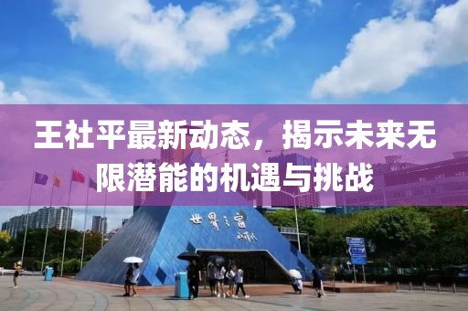 王社平最新动态，揭示未来无限潜能的机遇与挑战