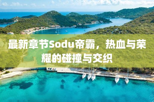 最新章节Sodu帝霸，热血与荣耀的碰撞与交织