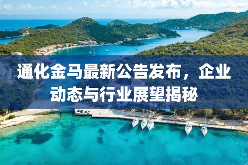 通化金马最新公告发布，企业动态与行业展望揭秘