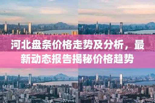 河北盘条价格走势及分析，最新动态报告揭秘价格趋势