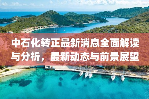 中石化转正最新消息全面解读与分析，最新动态与前景展望