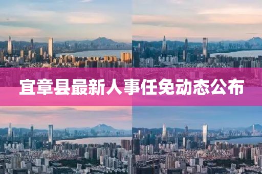 宜章县最新人事任免动态公布