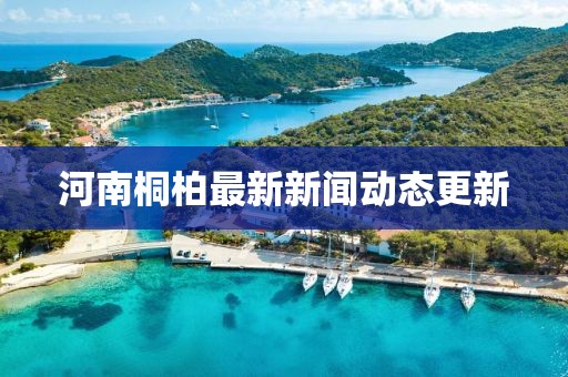 河南桐柏最新新闻动态更新