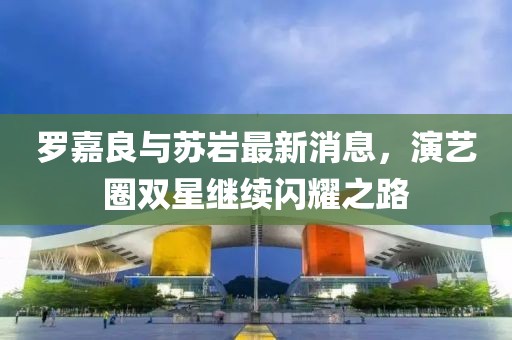 罗嘉良与苏岩最新消息，演艺圈双星继续闪耀之路