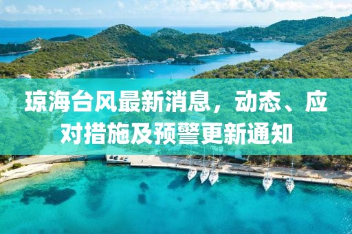 琼海台风最新消息，动态、应对措施及预警更新通知