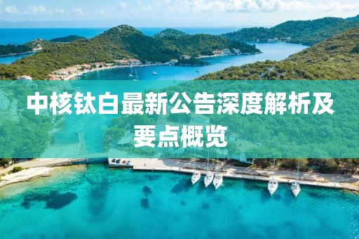 中核钛白最新公告深度解析及要点概览