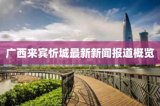 广西来宾忻城最新新闻报道概览