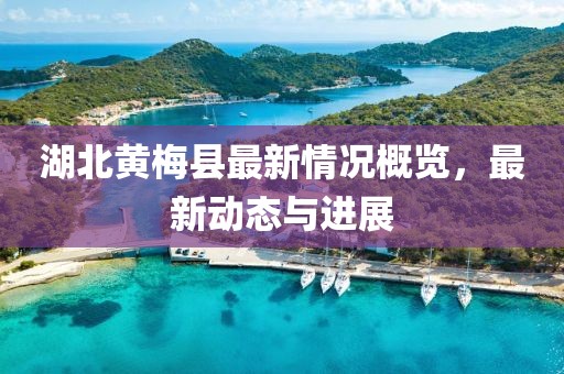 湖北黄梅县最新情况概览，最新动态与进展