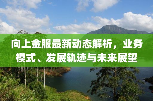 向上金服最新动态解析，业务模式、发展轨迹与未来展望