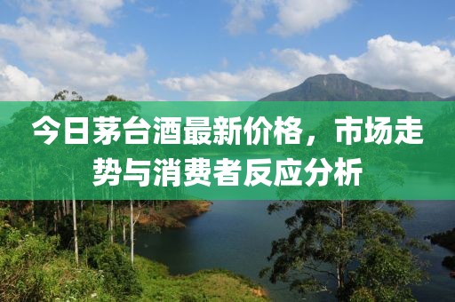 今日茅台酒最新价格，市场走势与消费者反应分析