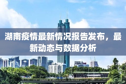 湖南疫情最新情况报告发布，最新动态与数据分析