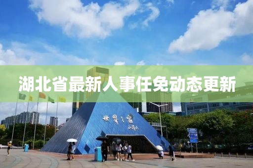 湖北省最新人事任免动态更新