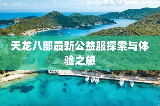 天龙八部最新公益服探索与体验之旅