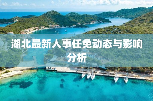 湖北最新人事任免动态与影响分析