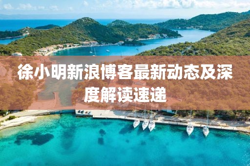 徐小明新浪博客最新动态及深度解读速递