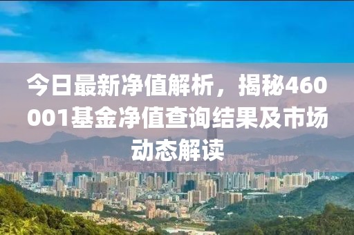 今日最新净值解析，揭秘460001基金净值查询结果及市场动态解读