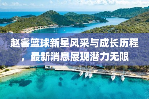 赵睿篮球新星风采与成长历程，最新消息展现潜力无限