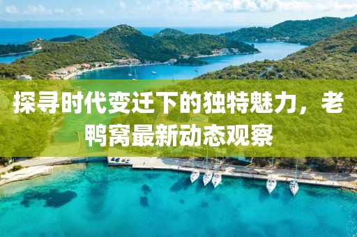 探寻时代变迁下的独特魅力，老鸭窝最新动态观察