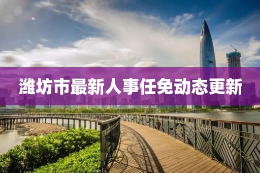 潍坊市最新人事任免动态更新