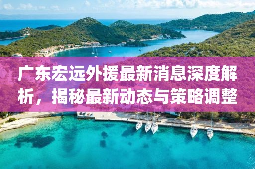 广东宏远外援最新消息深度解析，揭秘最新动态与策略调整