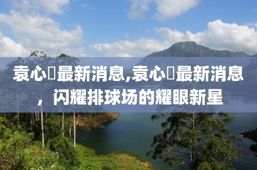 袁心玥最新消息,袁心玥最新消息，闪耀排球场的耀眼新星