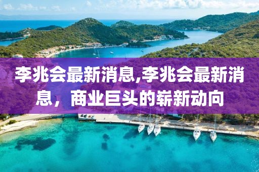 李兆会最新消息,李兆会最新消息，商业巨头的崭新动向