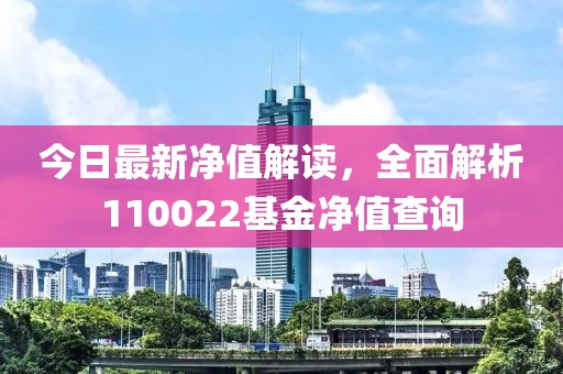 今日最新净值解读，全面解析110022基金净值查询