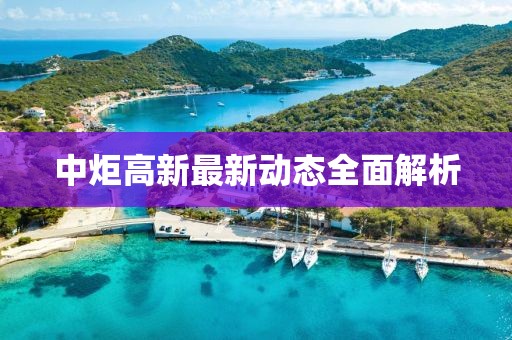 中炬高新最新动态全面解析