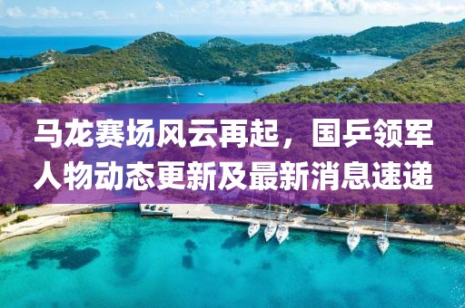 马龙赛场风云再起，国乒领军人物动态更新及最新消息速递