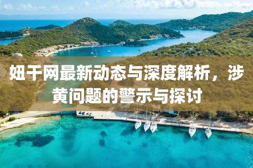 妞干网最新动态与深度解析，涉黄问题的警示与探讨