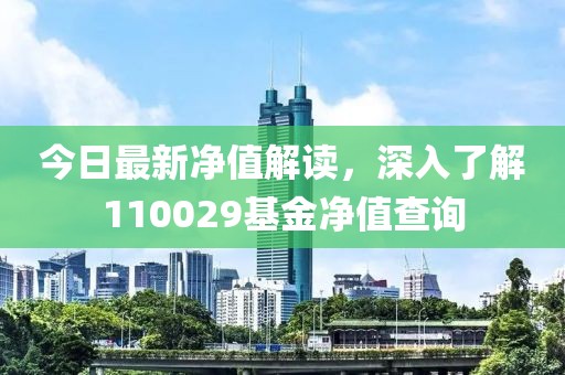 今日最新净值解读，深入了解110029基金净值查询