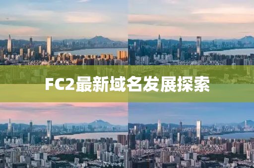 FC2最新域名发展探索