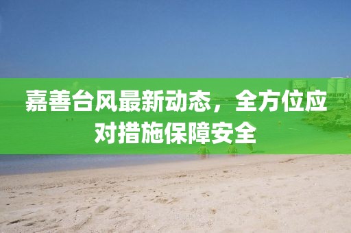 嘉善台风最新动态，全方位应对措施保障安全