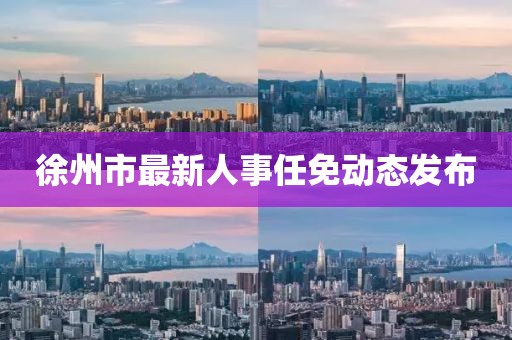 徐州市最新人事任免动态发布