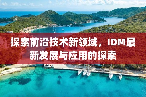 探索前沿技术新领域，IDM最新发展与应用的探索