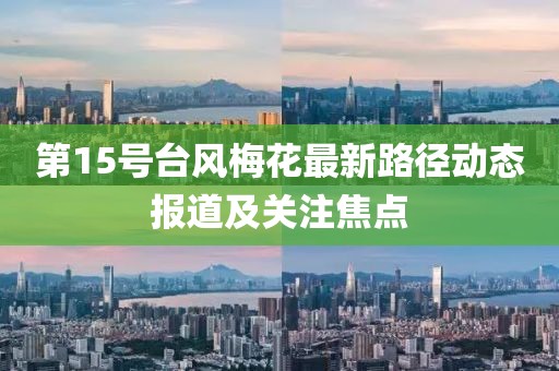 第15号台风梅花最新路径动态报道及关注焦点