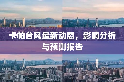 卡帕台风最新动态，影响分析与预测报告