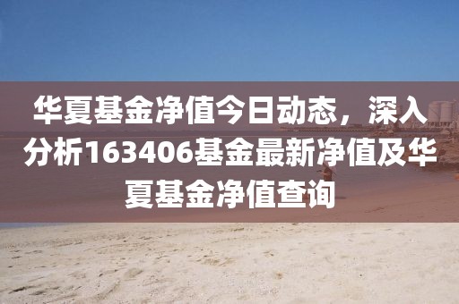 华夏基金净值今日动态，深入分析163406基金最新净值及华夏基金净值查询