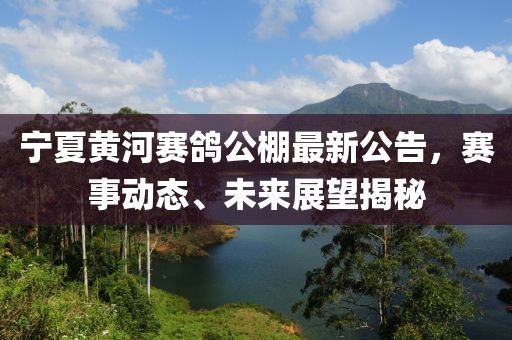 宁夏黄河赛鸽公棚最新公告，赛事动态、未来展望揭秘