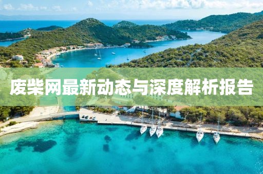 废柴网最新动态与深度解析报告