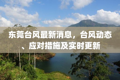 东莞台风最新消息，台风动态、应对措施及实时更新